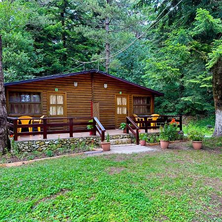 Uji I Panjes Llogara Villa Vlorë Eksteriør bilde